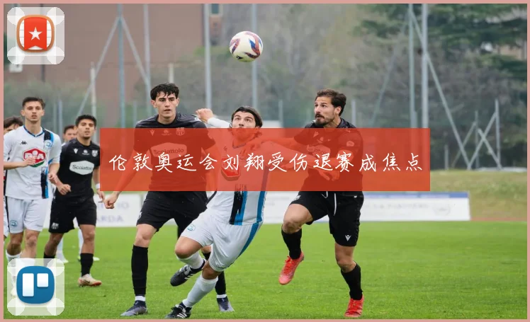 伦敦奥运会刘翔受伤退赛成焦点